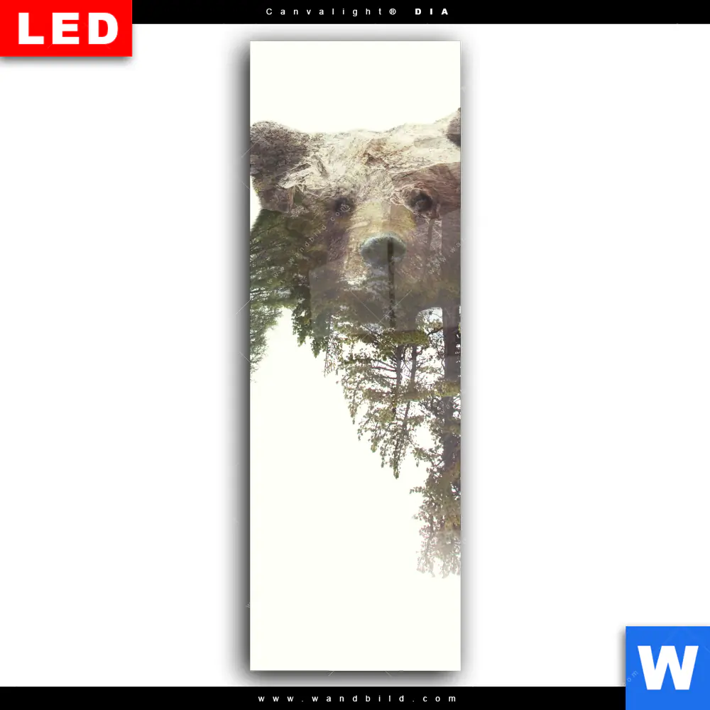Wechselmotiv Acrylglas Canvalight® DIA | Bär & Wald No.1 | Schmal - Image 2