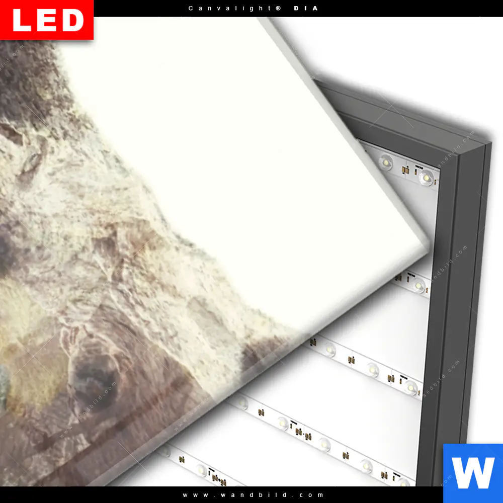 Wechselmotiv Acrylglas Canvalight® DIA | Bär & Wald No.1 | Schmal - Image 3