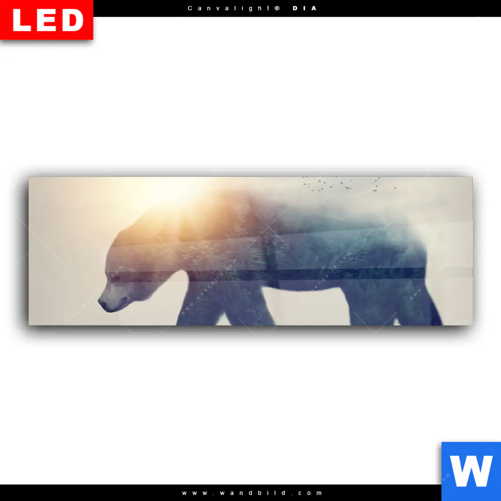 Wechselmotiv Acrylglas Canvalight® DIA | Bär & Wald No.2 | Panorama - Image 2