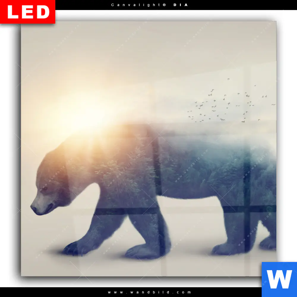 Wechselmotiv Acrylglas Canvalight® DIA | Bär & Wald No.2 | Quadrat - Image 2