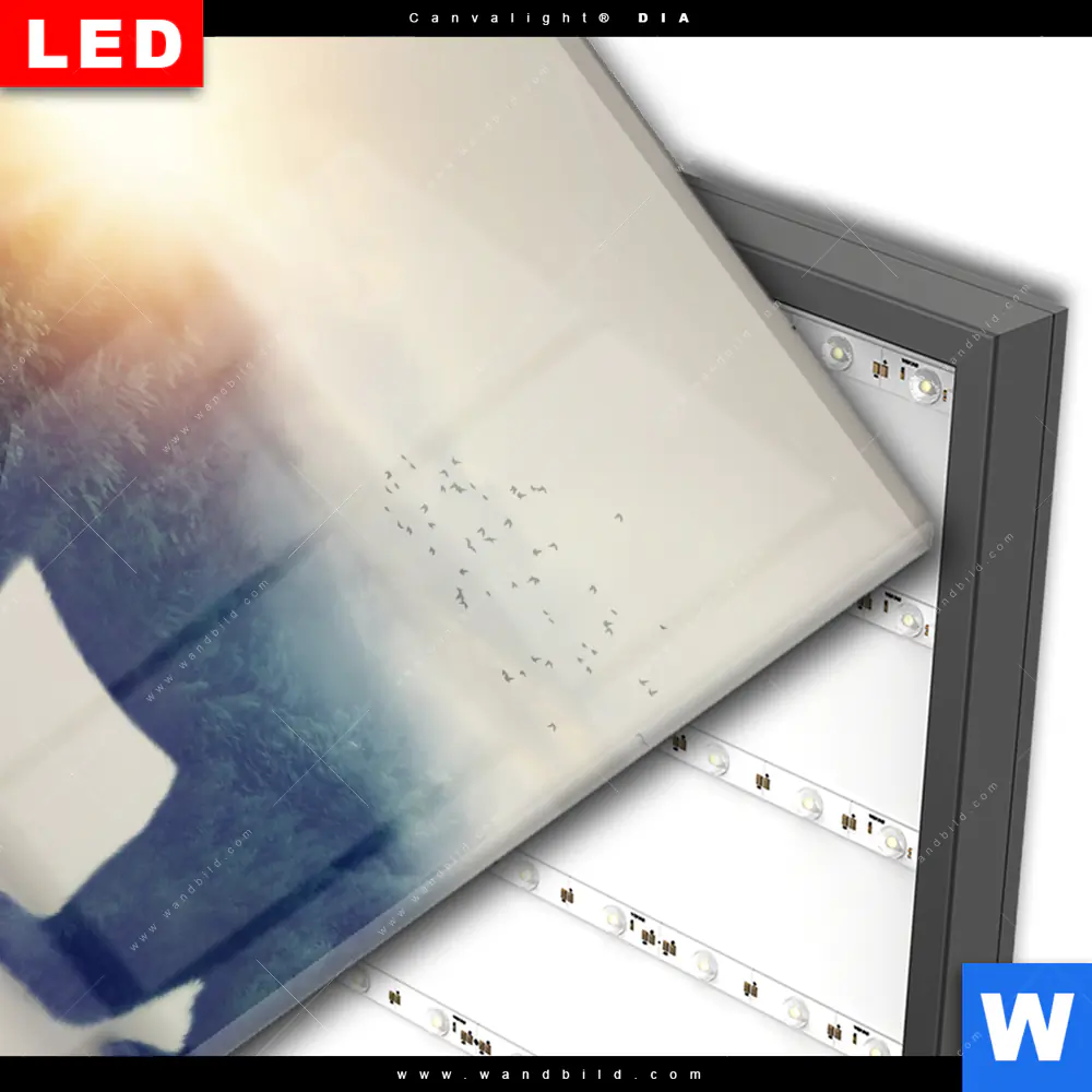 Wechselmotiv Acrylglas Canvalight® DIA | Bär & Wald No.2 | Quadrat - Image 3
