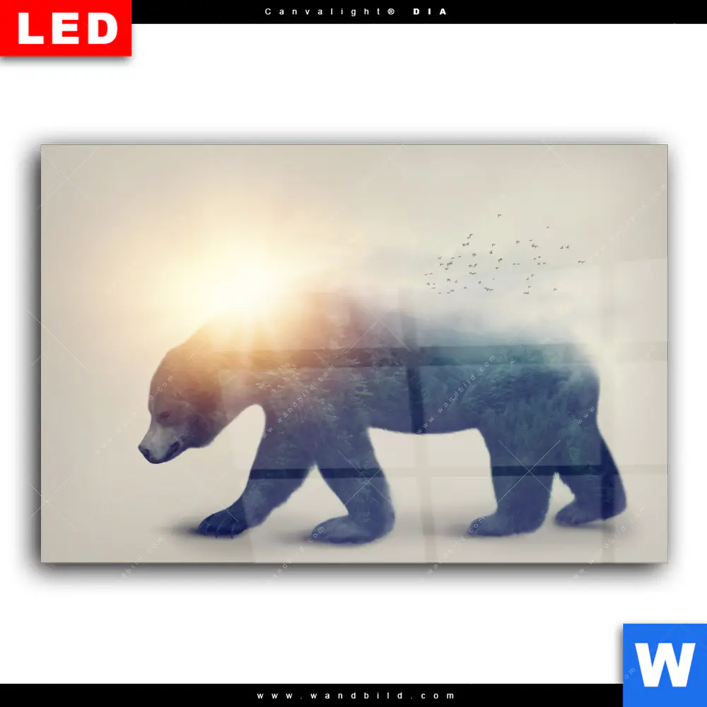 Wechselmotiv Acrylglas Canvalight® DIA | Bär & Wald No.2 | Querformat - Image 2