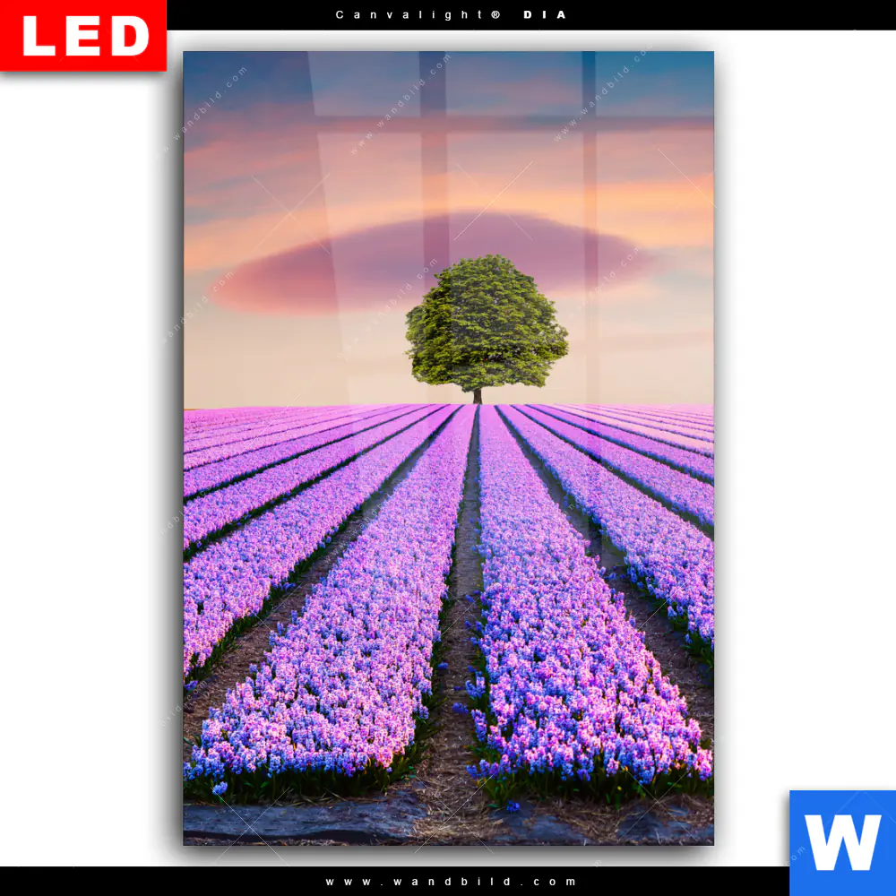 Wechselmotiv Acrylglas Canvalight® DIA | Baum im Blumenfeld | Hochformat - Image 2