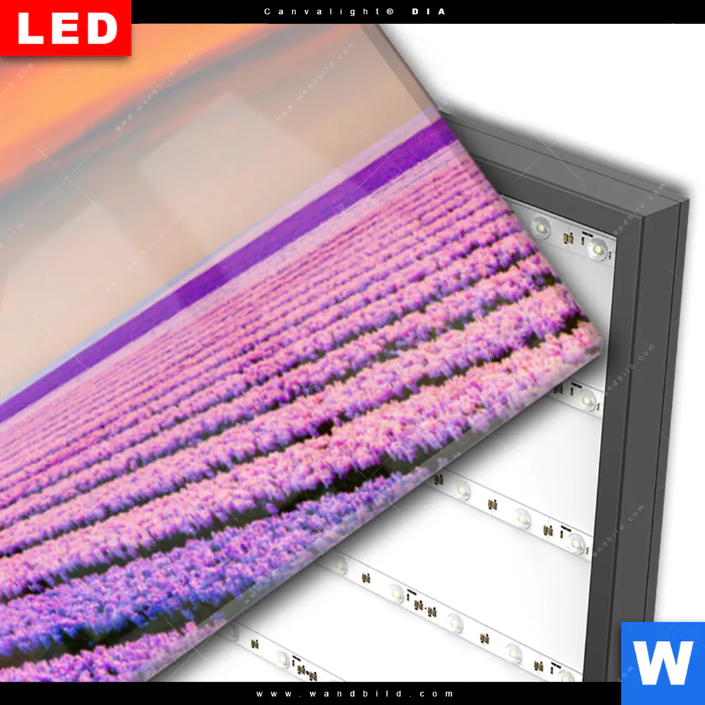 Wechselmotiv Acrylglas Canvalight® DIA | Baum im Blumenfeld | Panorama - Image 3