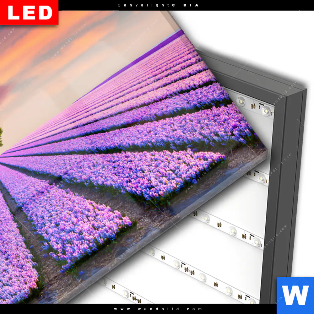 Wechselmotiv Acrylglas Canvalight® DIA | Baum im Blumenfeld | Querformat - Image 3