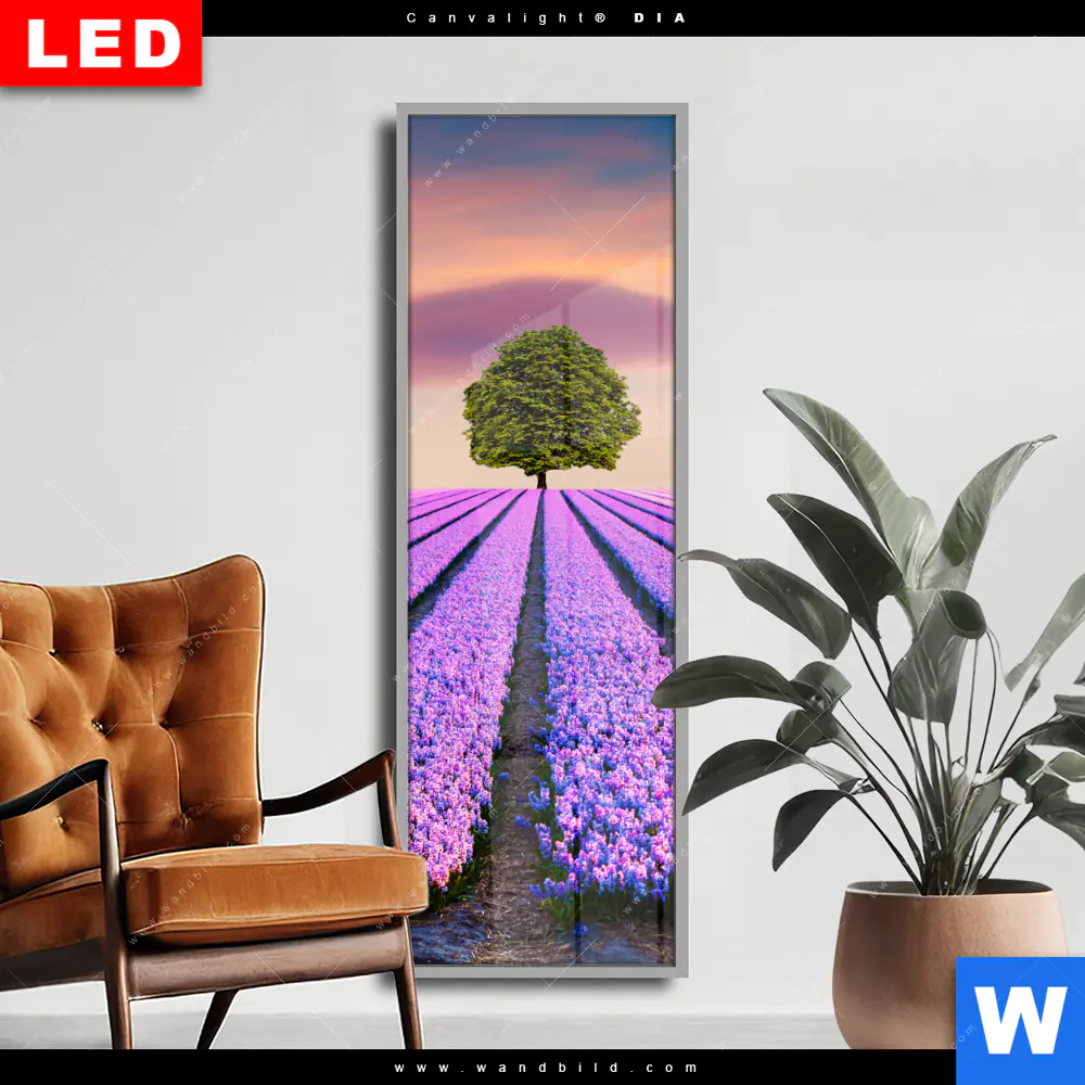 Wechselmotiv Acrylglas Canvalight® DIA | Baum im Blumenfeld | Schmal