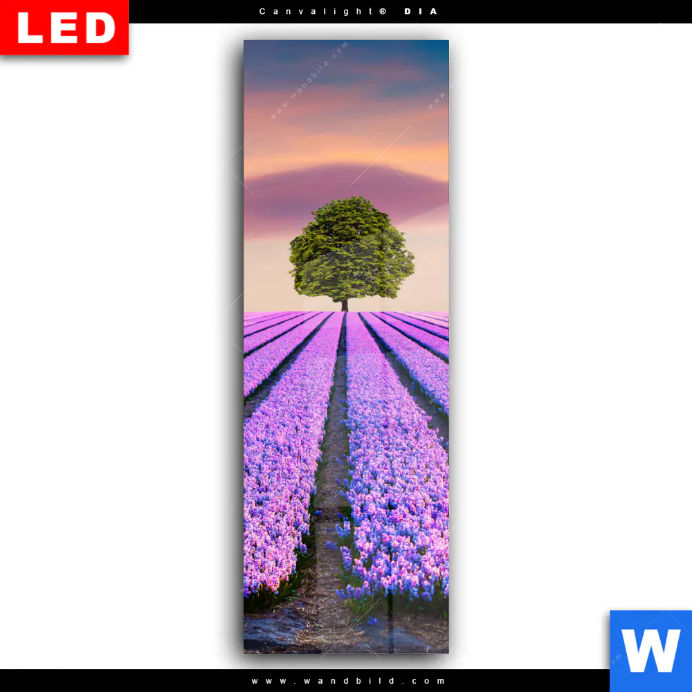 Wechselmotiv Acrylglas Canvalight® DIA | Baum im Blumenfeld | Schmal - Image 2