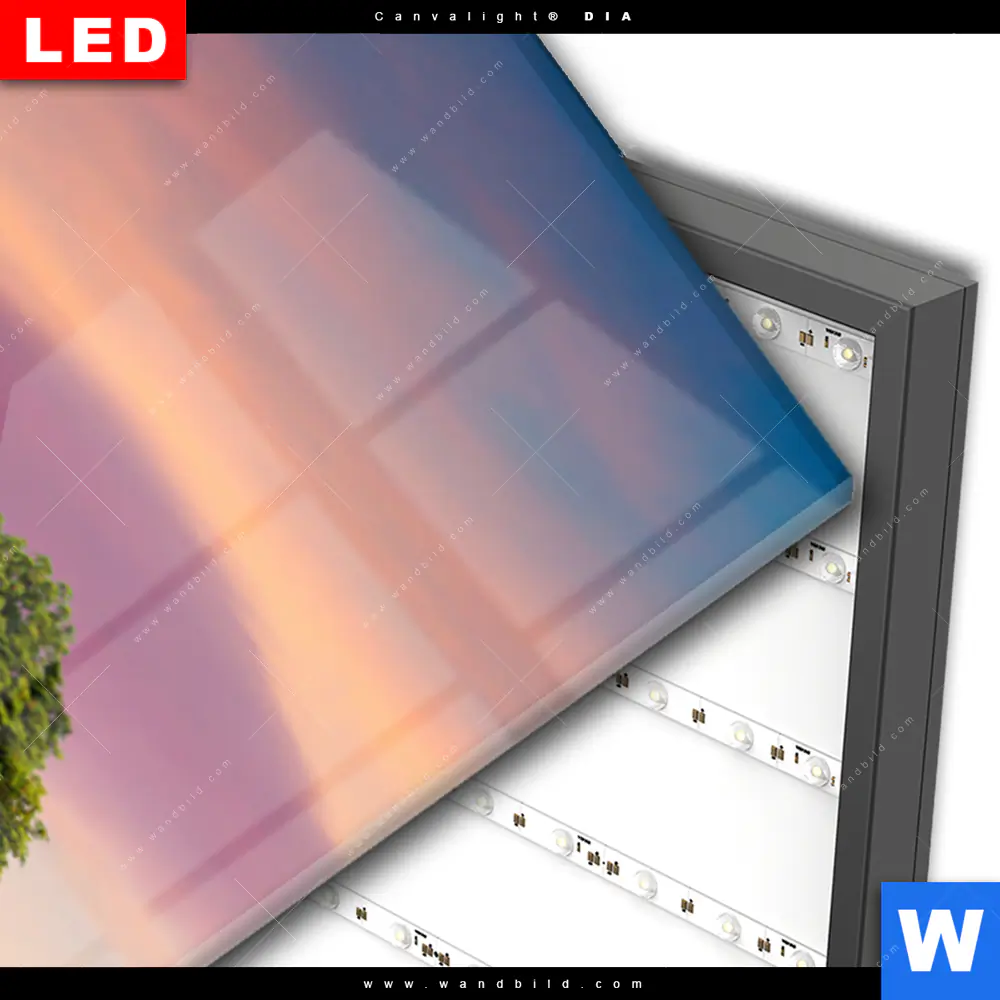 Wechselmotiv Acrylglas Canvalight® DIA | Baum im Blumenfeld | Schmal - Image 3