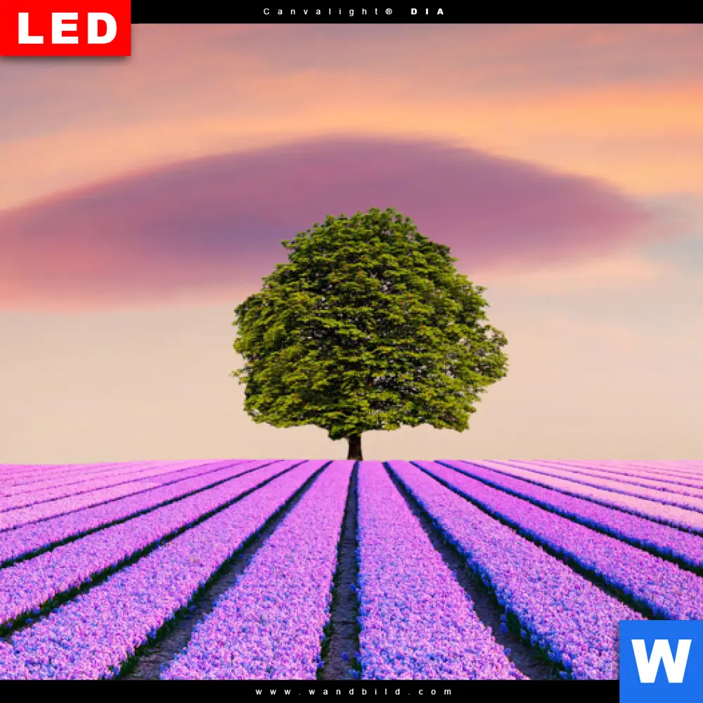 Wechselmotiv Acrylglas Canvalight® DIA | Baum im Blumenfeld | Schmal - Image 4