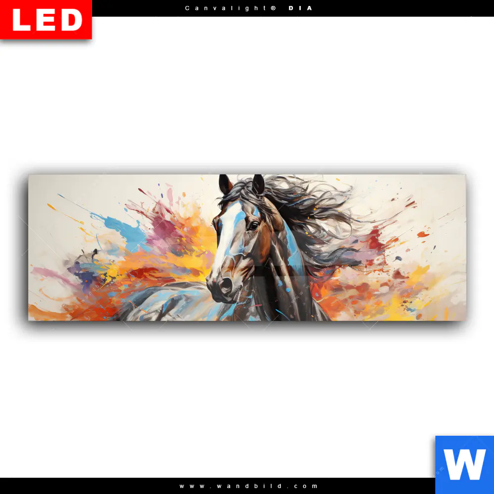 Wechselmotiv Acrylglas Canvalight® DIA | Bella - Abstraktes Pferdeporträt | Panorama - Image 2