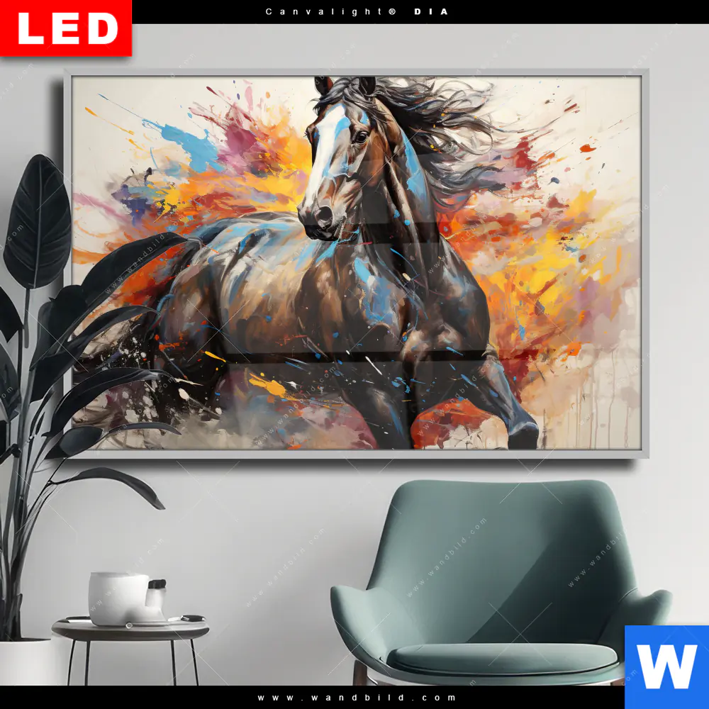 Wechselmotiv Acrylglas Canvalight® DIA | Bella - Abstraktes Pferdeporträt | Querformat