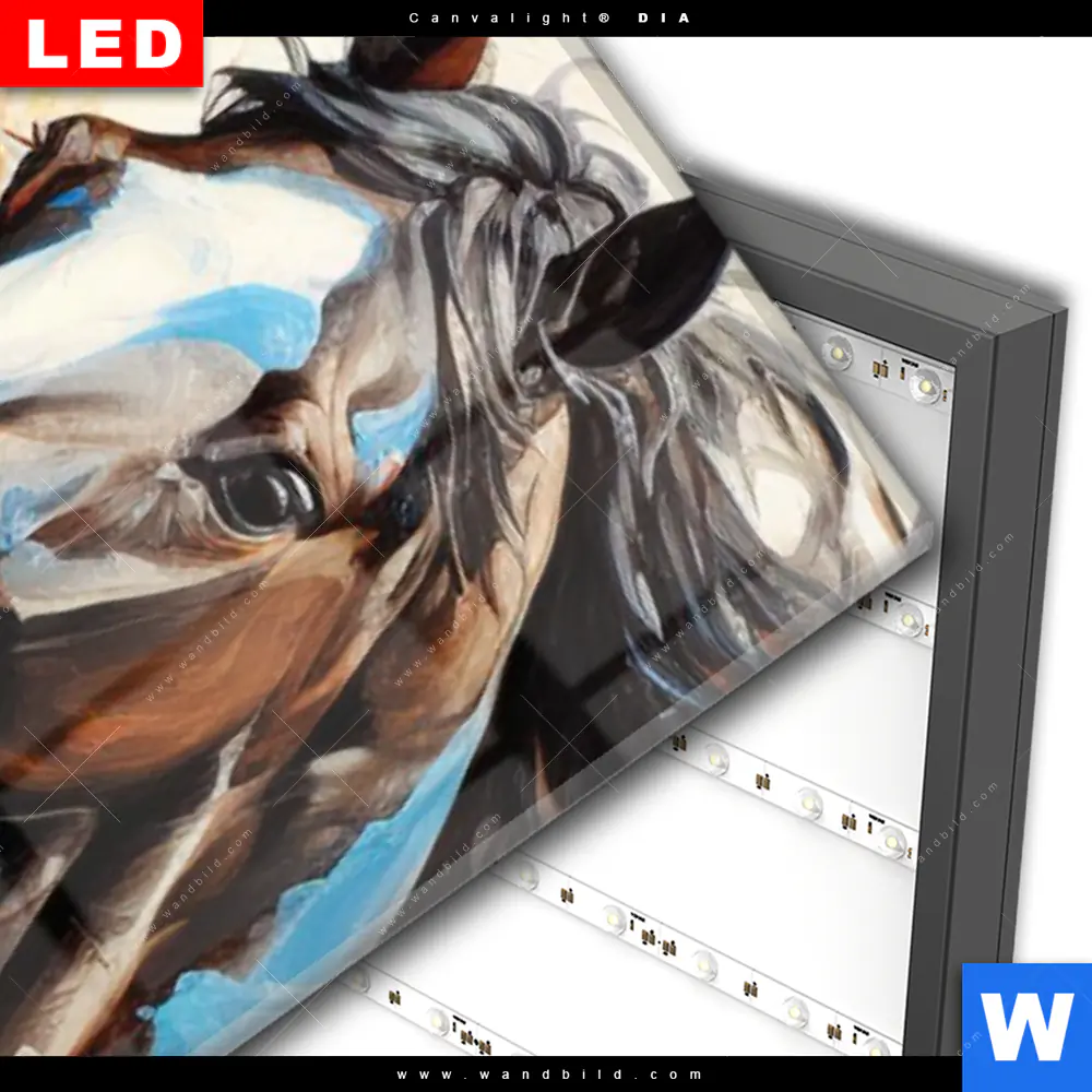 Wechselmotiv Acrylglas Canvalight® DIA | Bella - Abstraktes Pferdeporträt | Schmal - Image 3