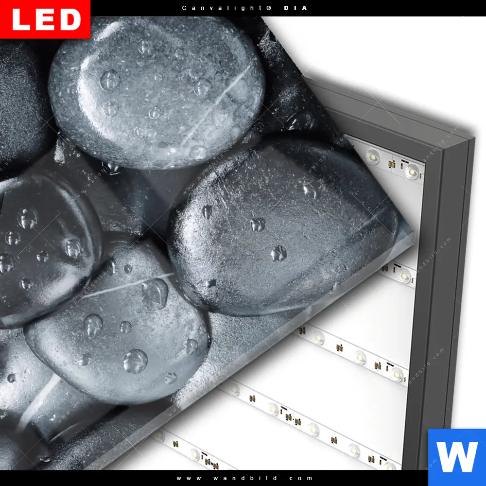 Wechselmotiv Acrylglas Canvalight® DIA | Blaue Blume & Graue Steine | Hochformat - Image 3
