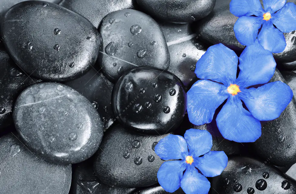 Wechselmotiv Acrylglas Canvalight® DIA | Blaue Blume & Graue Steine | Quadrat - Image 5