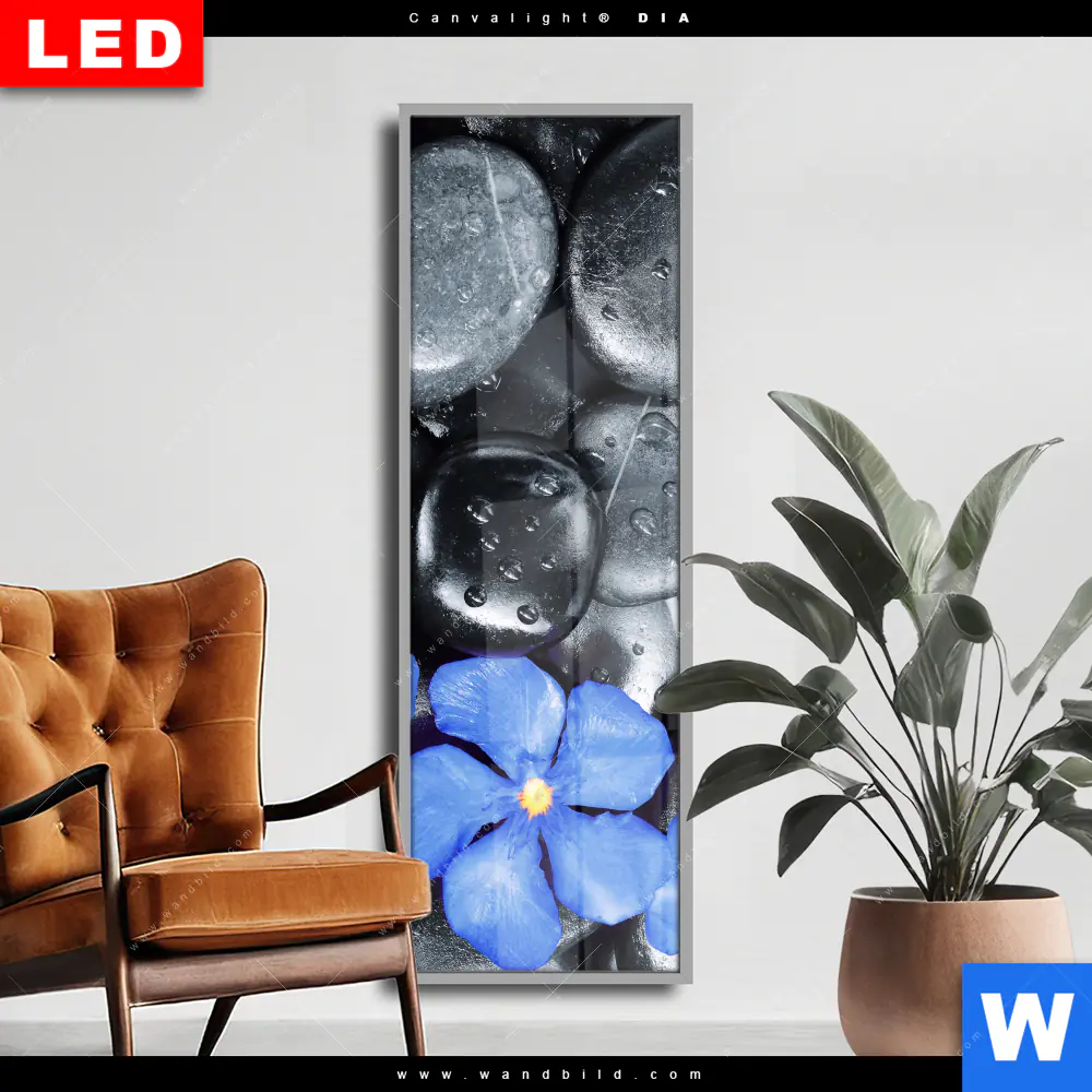 Wechselmotiv Acrylglas Canvalight® DIA | Blaue Blume & Graue Steine | Schmal