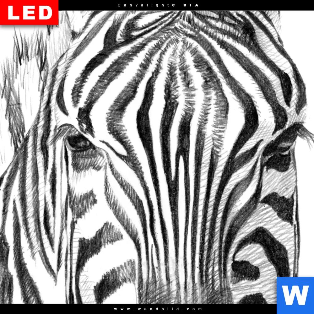 Wechselmotiv Acrylglas Canvalight® DIA | Bleistiftzeichnung Zebra | Hochformat - Image 4