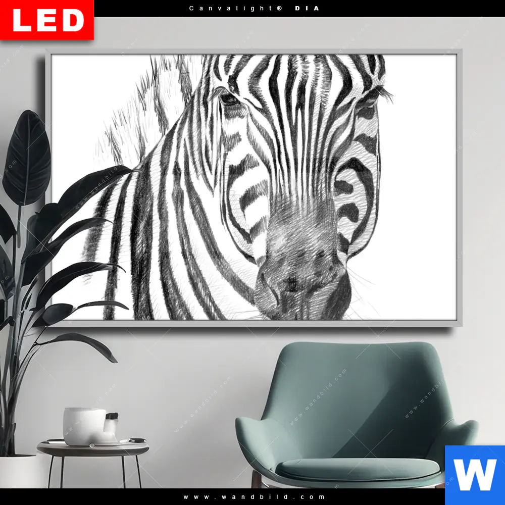 Wechselmotiv Acrylglas Canvalight® DIA | Bleistiftzeichnung Zebra | Querformat