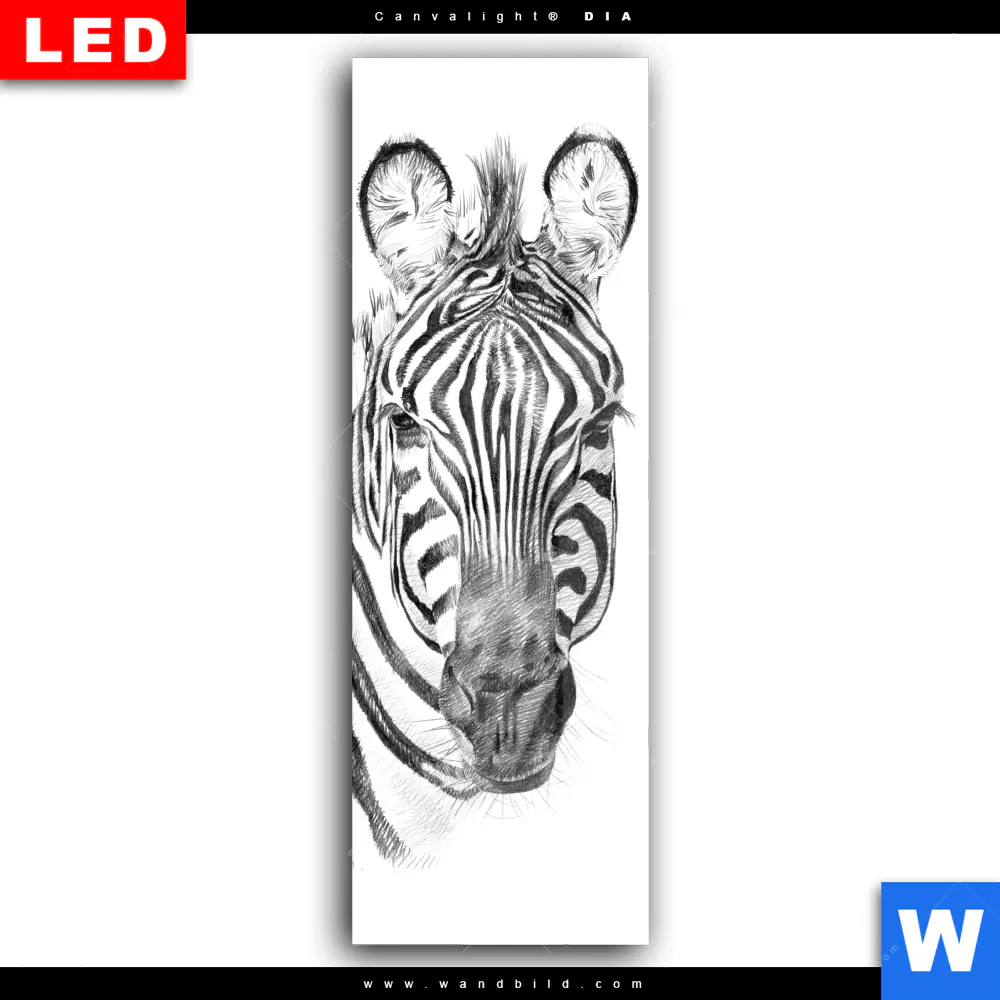 Wechselmotiv Acrylglas Canvalight® DIA | Bleistiftzeichnung Zebra | Schmal - Image 2