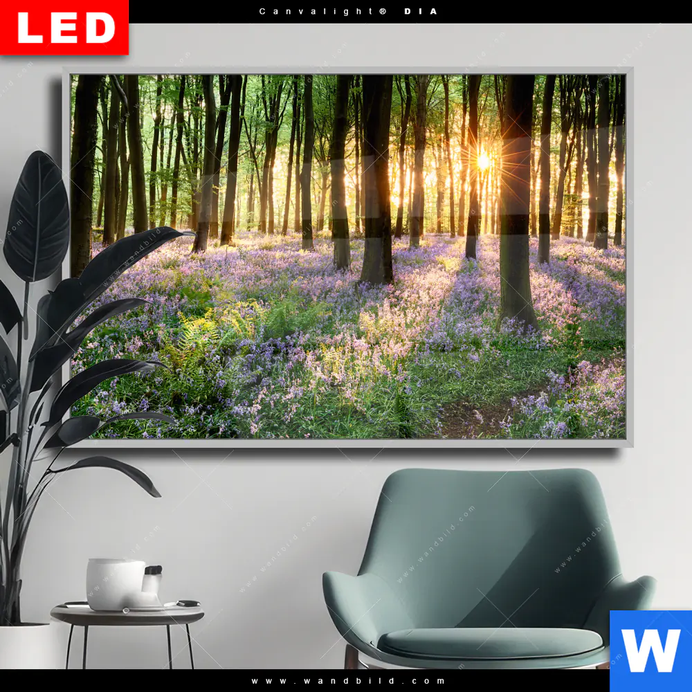 Wechselmotiv Acrylglas Canvalight® DIA | Blühender Wald bei Sonnenaufgang | Querformat