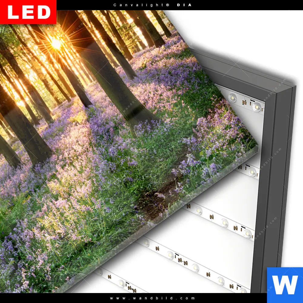 Wechselmotiv Acrylglas Canvalight® DIA | Blühender Wald bei Sonnenaufgang | Querformat - Image 3