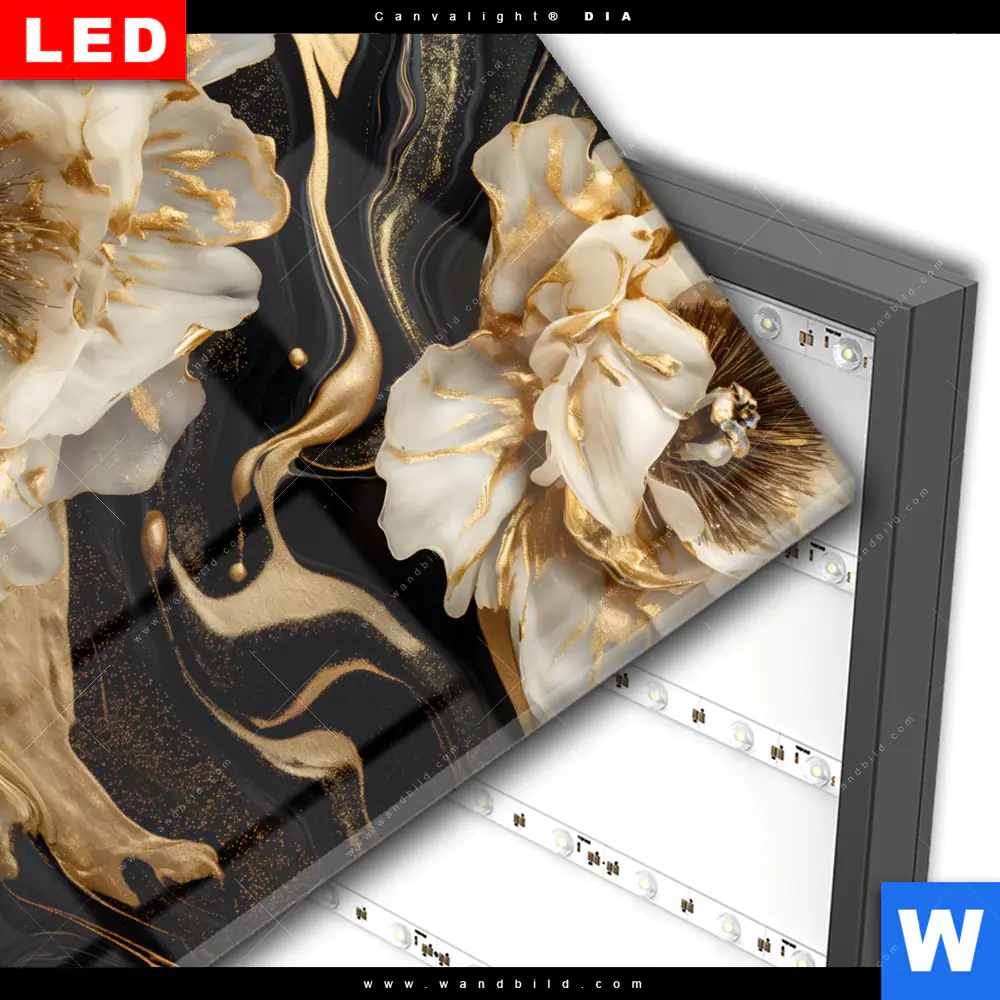Wechselmotiv Acrylglas Canvalight® DIA | Blüten Gold Weiß Schwarz | Quadrat - Image 3