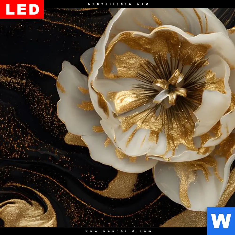 Wechselmotiv Acrylglas Canvalight® DIA | Blüten Gold Weiß Schwarz | Quadrat - Image 4