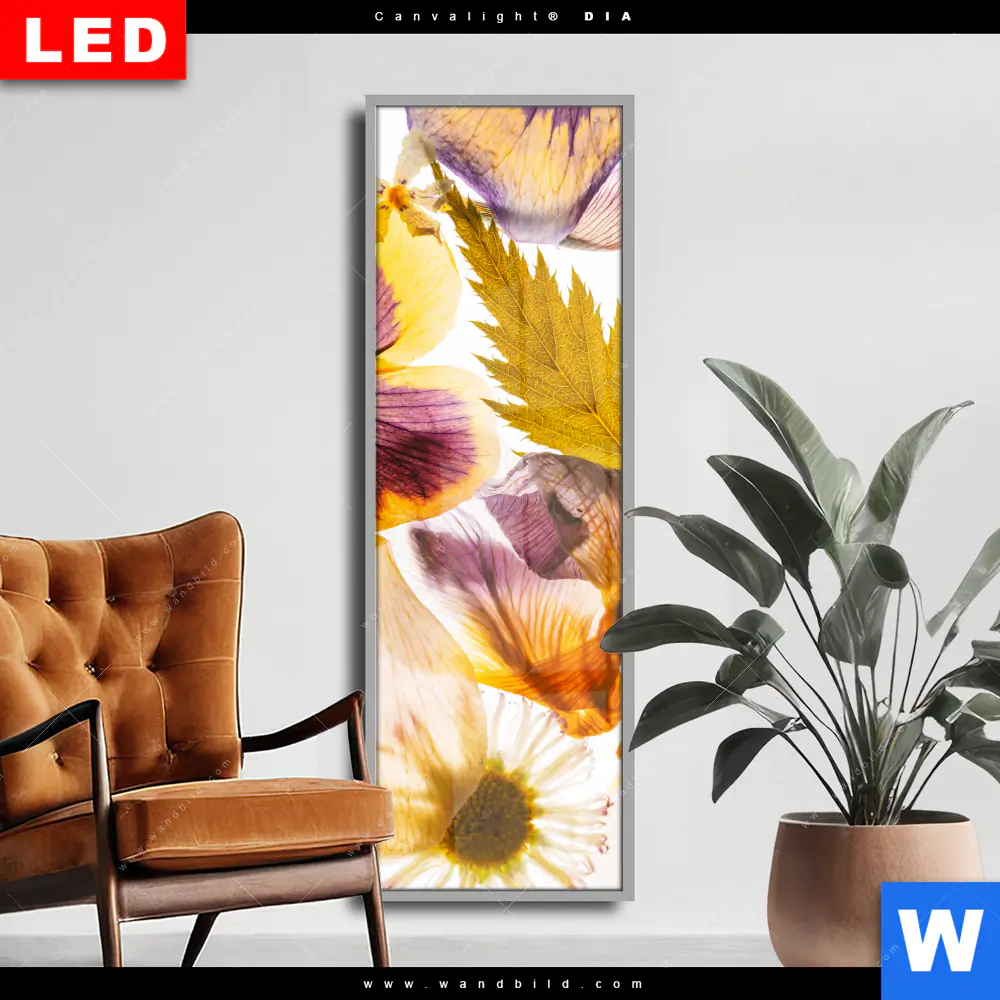 Wechselmotiv Acrylglas Canvalight® DIA | Blumen Collage No.1 | Schmal