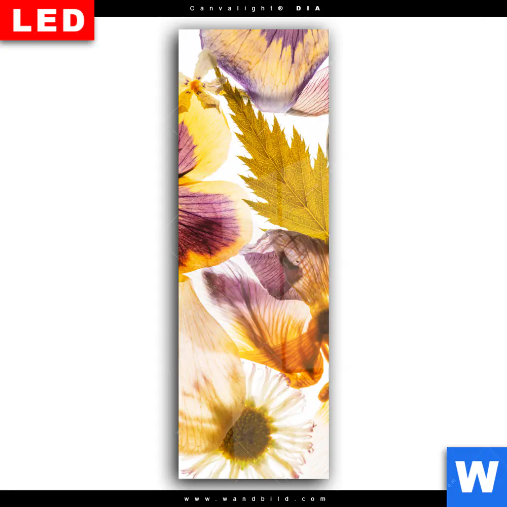 Wechselmotiv Acrylglas Canvalight® DIA | Blumen Collage No.1 | Schmal - Image 2