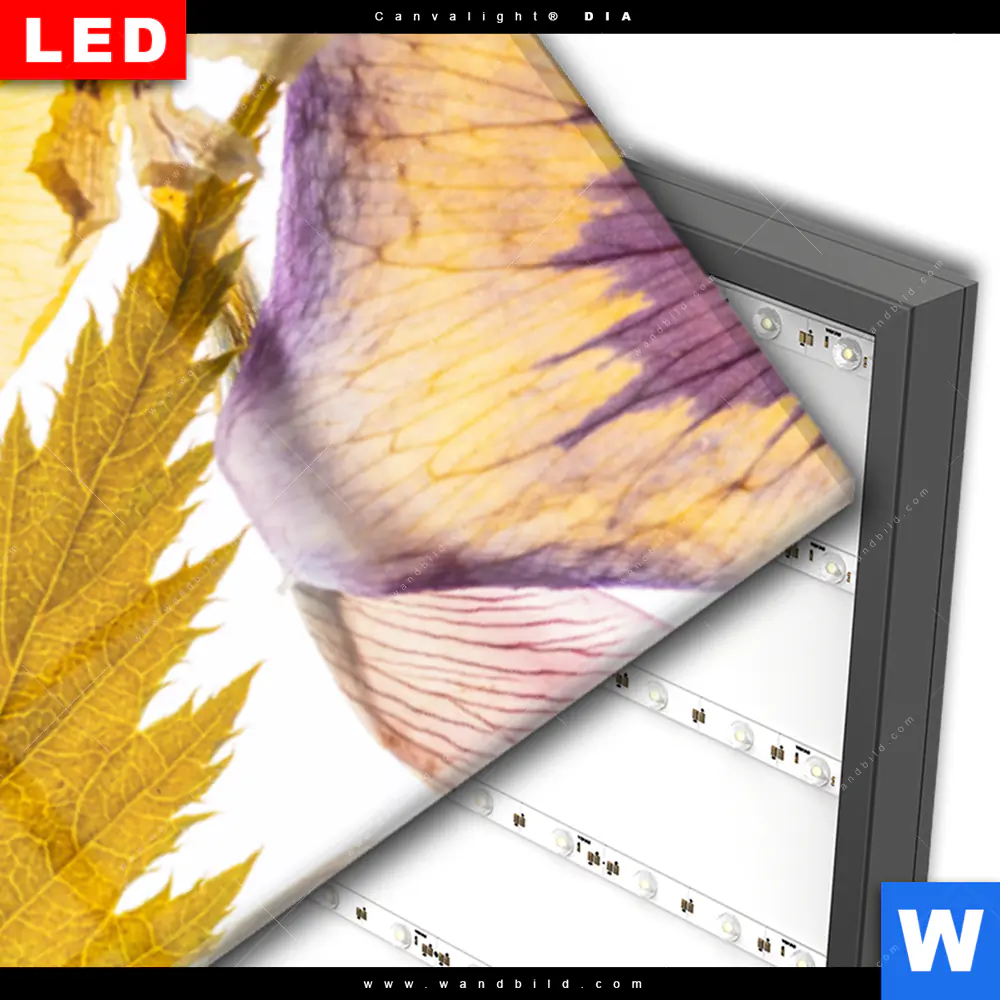 Wechselmotiv Acrylglas Canvalight® DIA | Blumen Collage No.1 | Schmal - Image 3