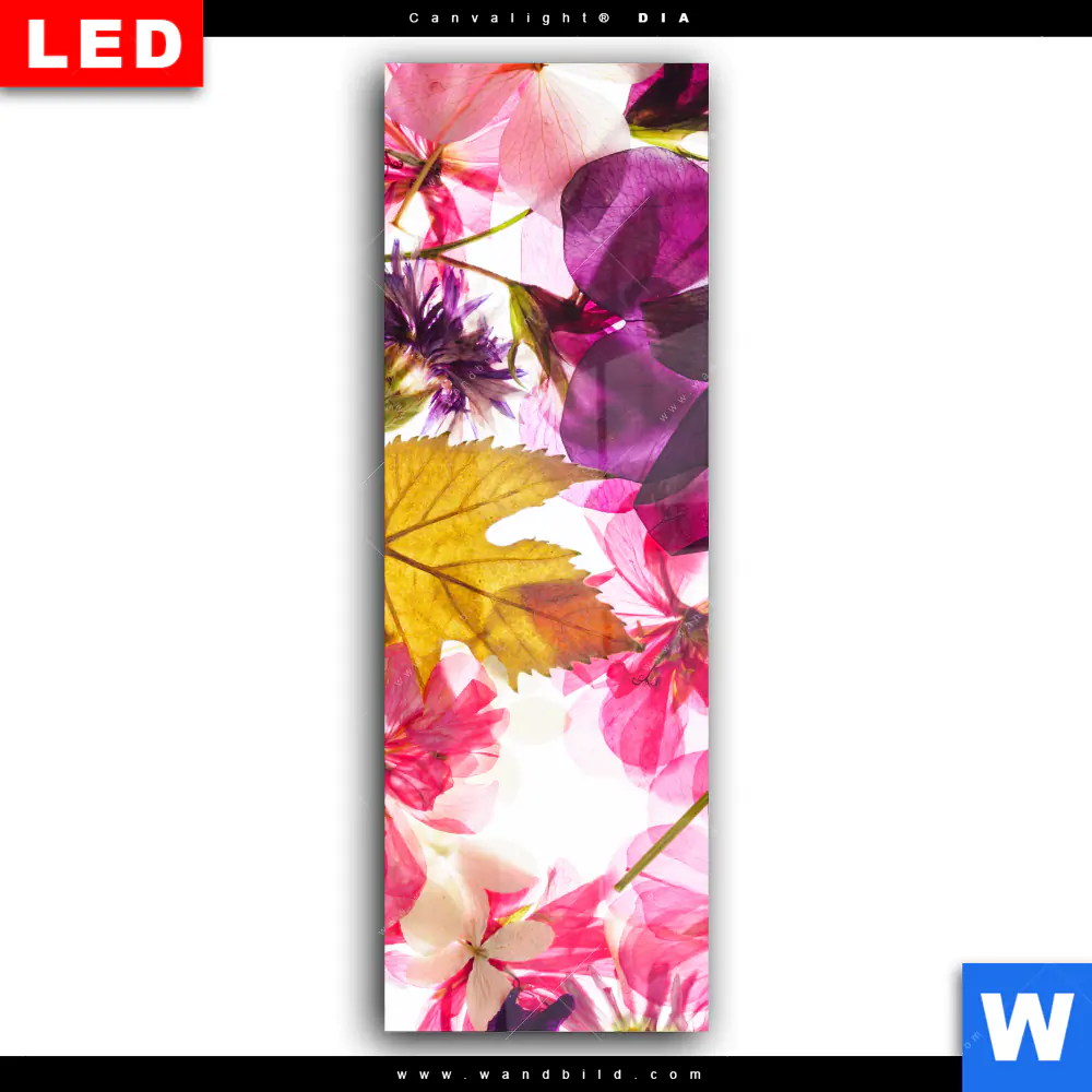 Wechselmotiv Acrylglas Canvalight® DIA | Blumen Collage No.2 | Schmal - Image 2