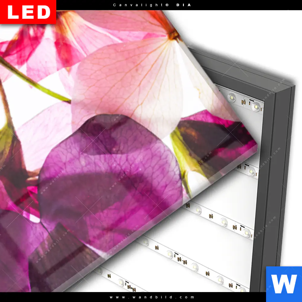 Wechselmotiv Acrylglas Canvalight® DIA | Blumen Collage No.2 | Schmal - Image 3