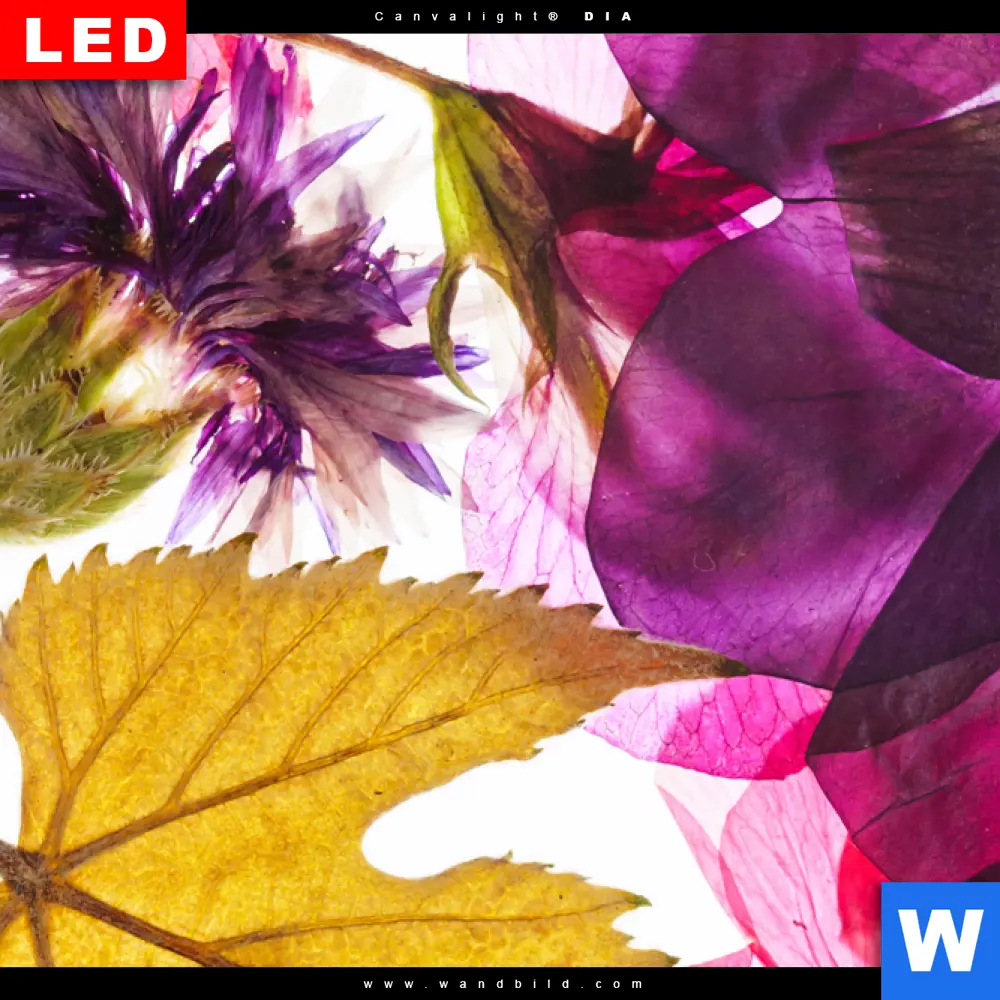 Wechselmotiv Acrylglas Canvalight® DIA | Blumen Collage No.2 | Schmal - Image 4