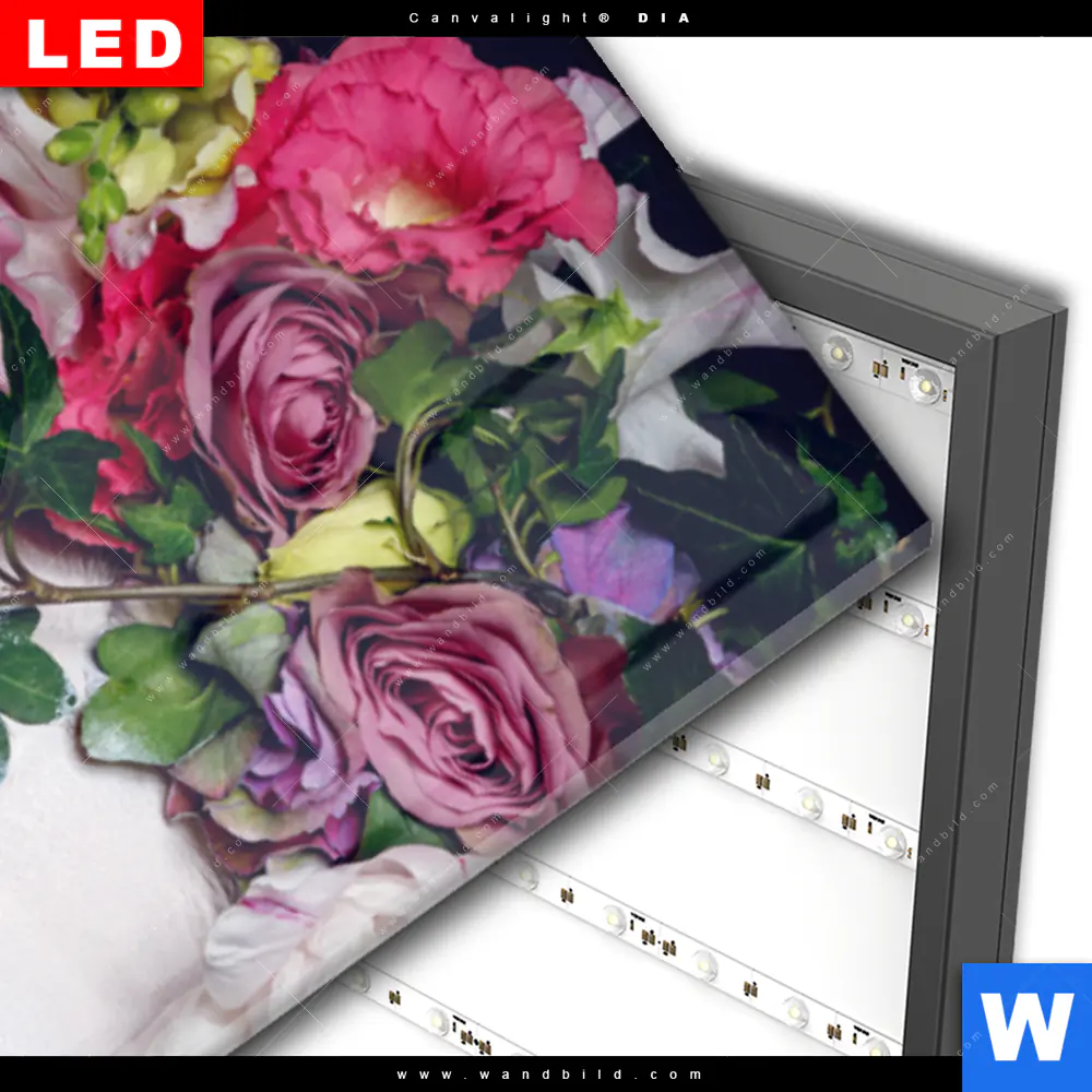 Wechselmotiv Acrylglas Canvalight® DIA | Blumen-Königin | Schmal - Image 3