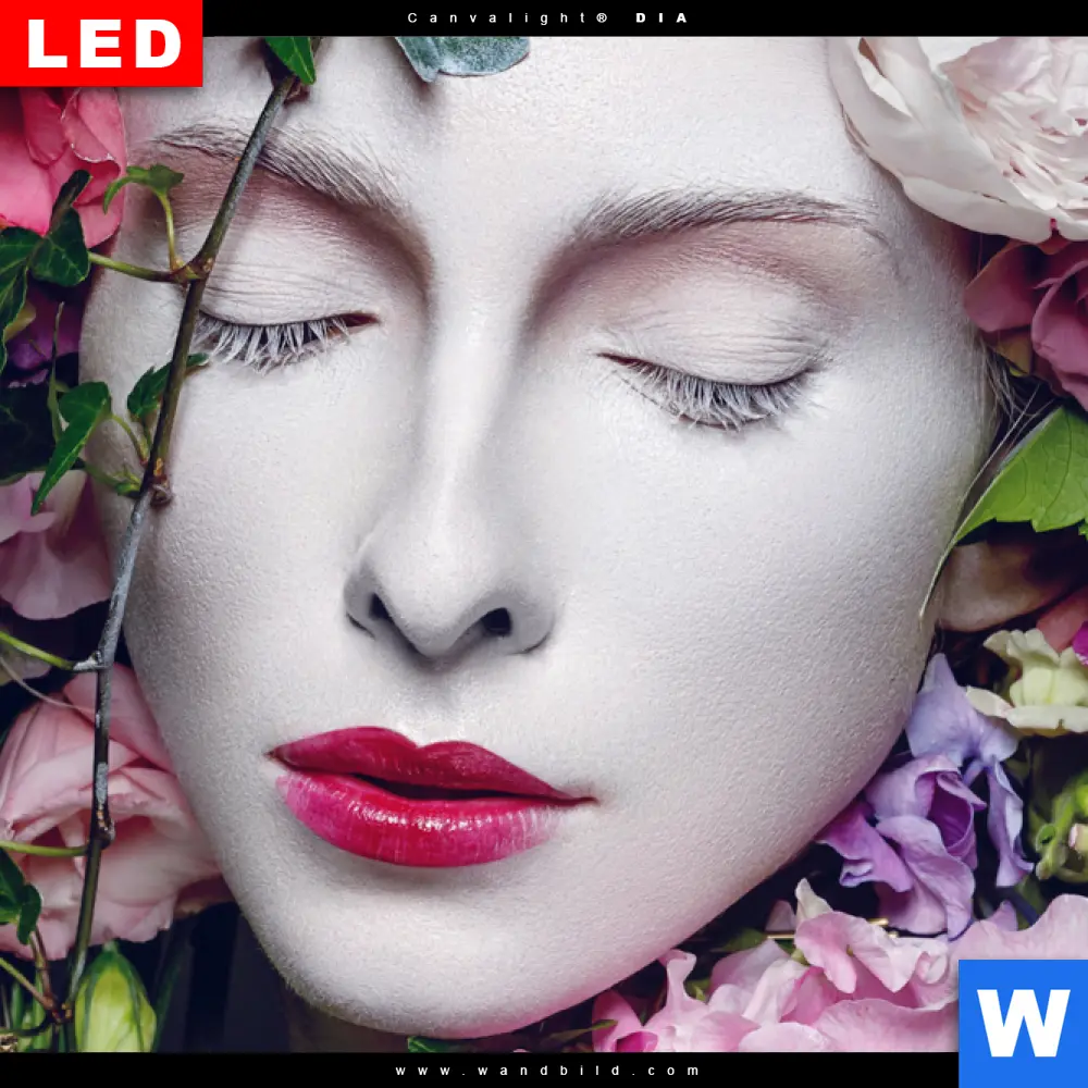 Wechselmotiv Acrylglas Canvalight® DIA | Blumen-Königin | Schmal - Image 4