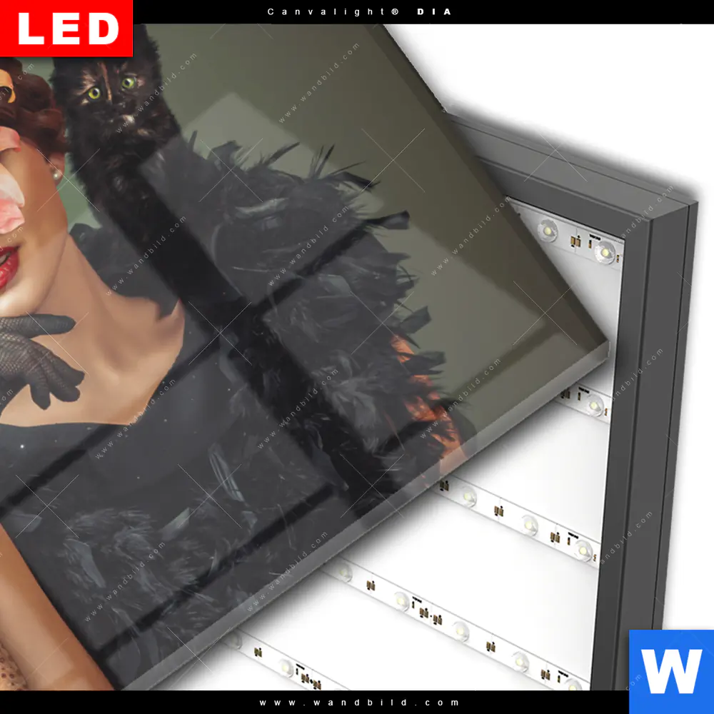 Wechselmotiv Acrylglas Canvalight® DIA | Blumenportrait einer Frau | Querformat - Image 3