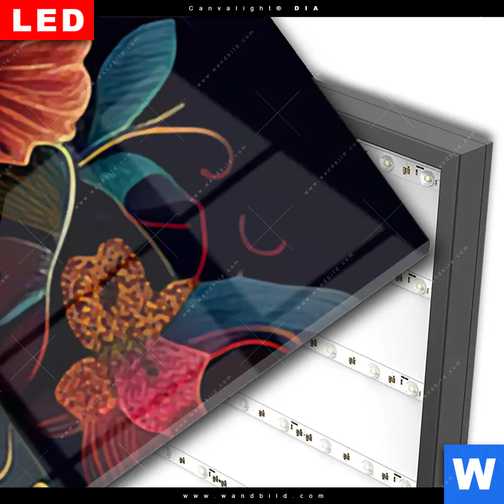 Wechselmotiv Acrylglas Canvalight® DIA | Blumenschädel schwarz | Panorama - Image 3