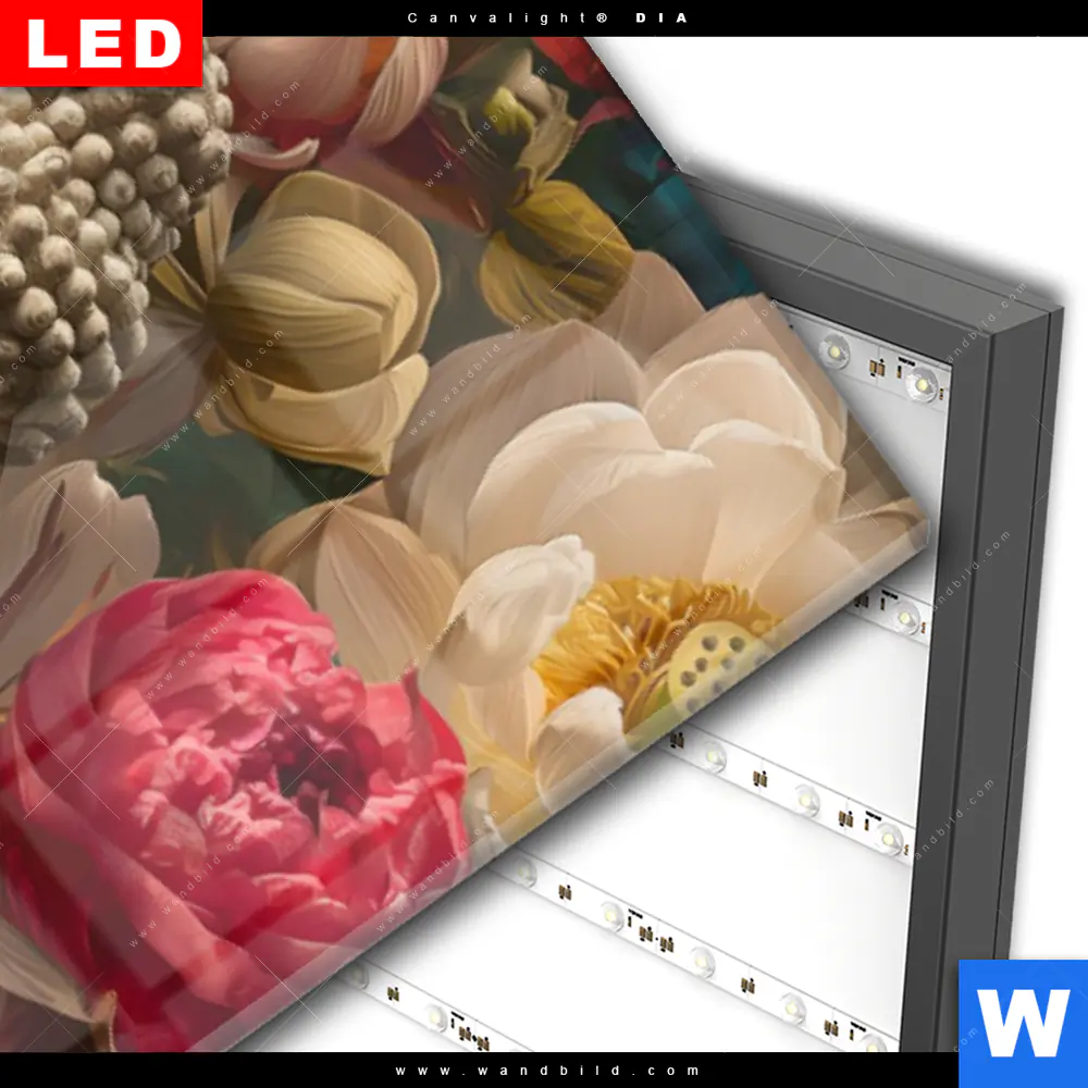 Wechselmotiv Acrylglas Canvalight® DIA | Buddha in farbenfrohen Blumen | Schmal - Image 3