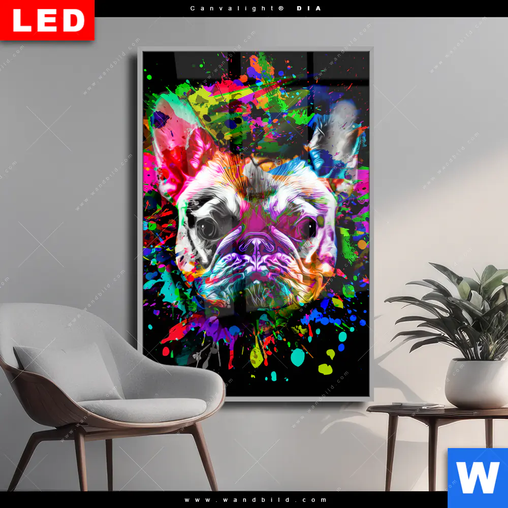 Wechselmotiv Acrylglas Canvalight® DIA | Bunte Bulldogge Schwarz | Hochformat