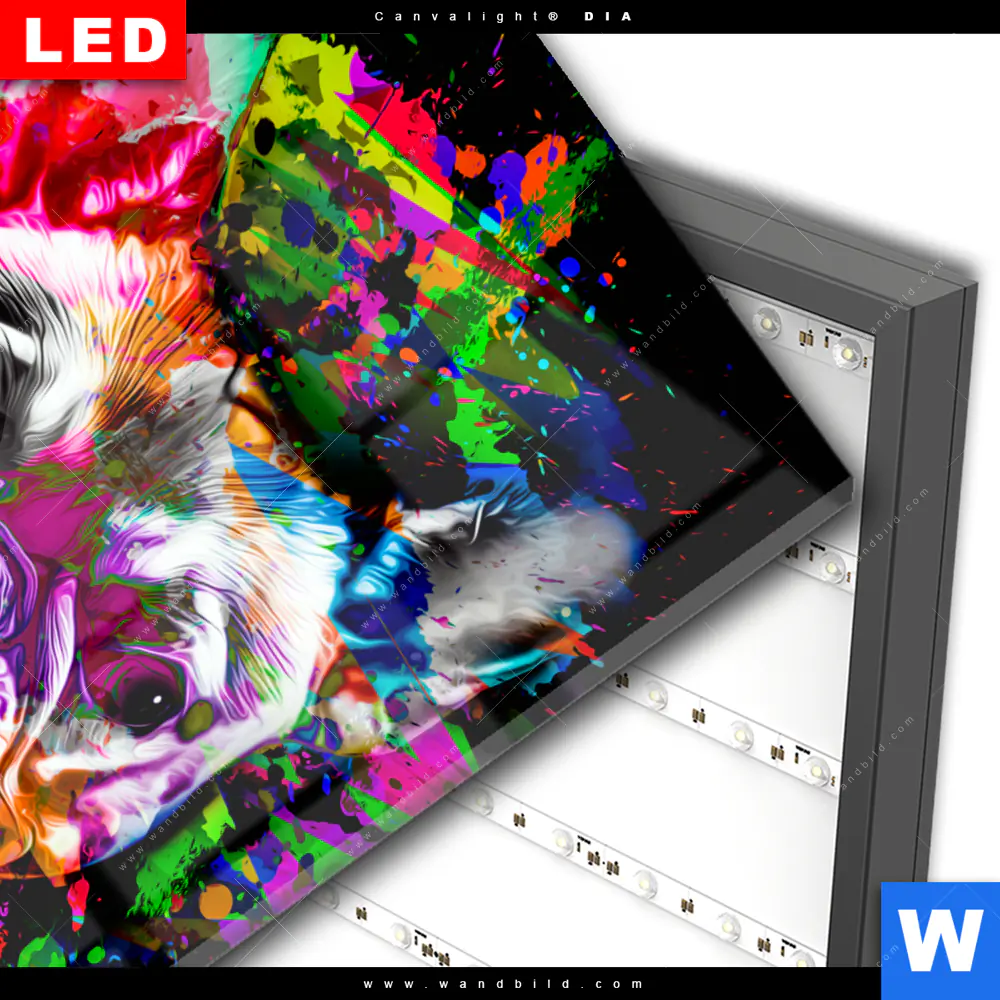 Wechselmotiv Acrylglas Canvalight® DIA | Bunte Bulldogge Schwarz | Hochformat - Image 3