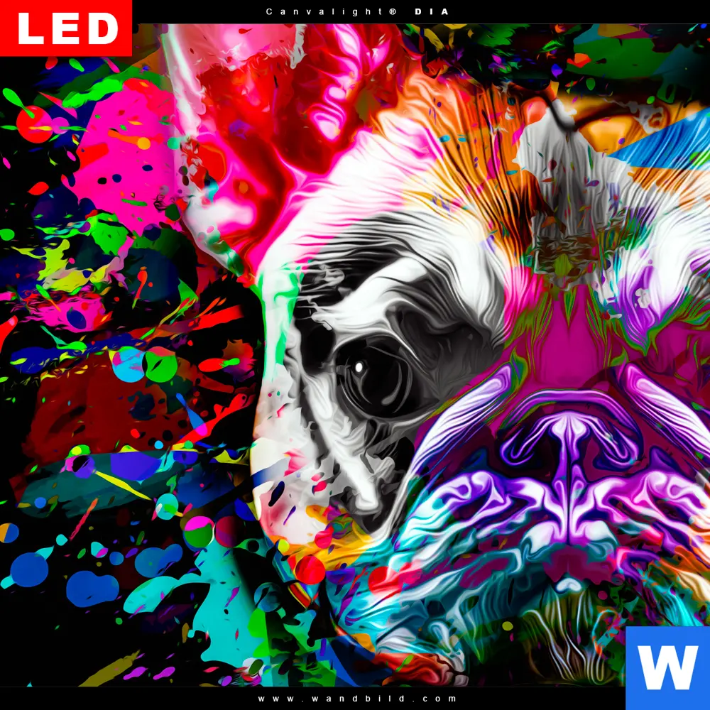 Wechselmotiv Acrylglas Canvalight® DIA | Bunte Bulldogge Schwarz | Hochformat - Image 4