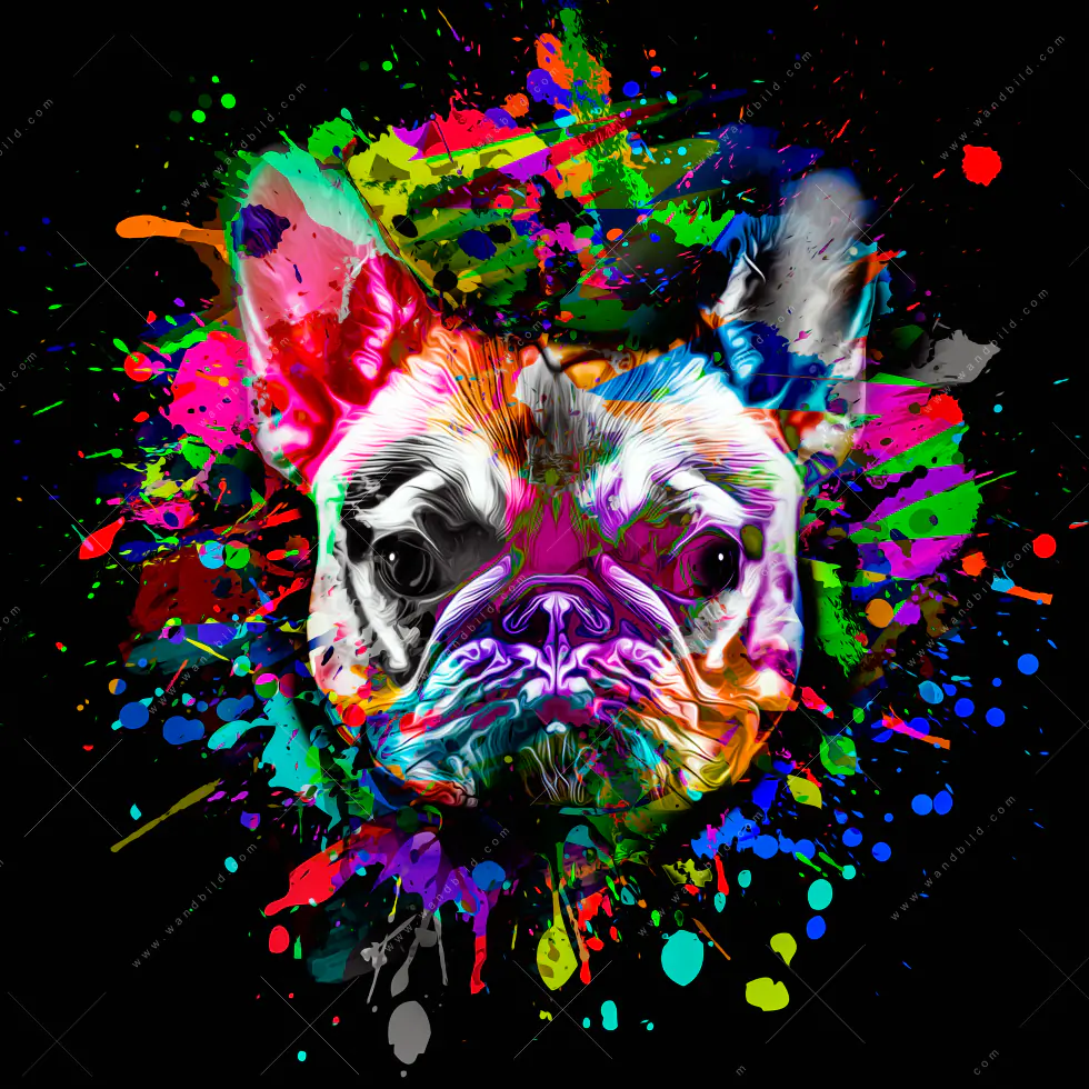 Wechselmotiv Acrylglas Canvalight® DIA | Bunte Bulldogge Schwarz | Hochformat - Image 5