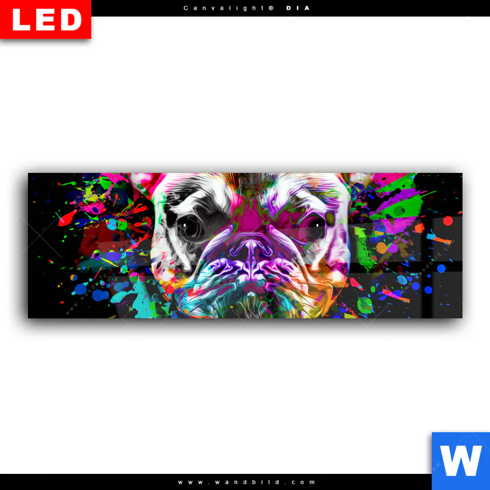 Wechselmotiv Acrylglas Canvalight® DIA | Bunte Bulldogge Schwarz | Panorama - Image 2