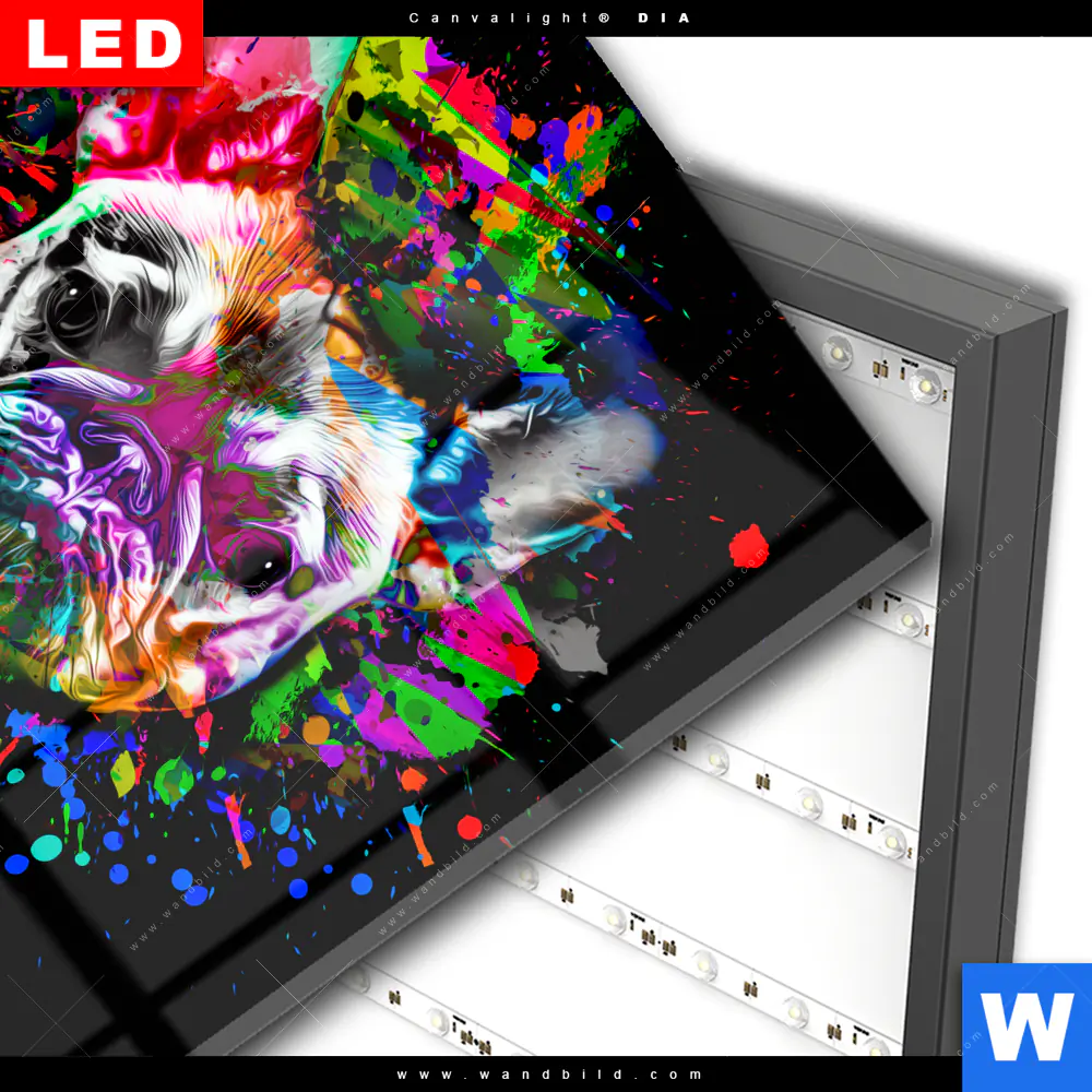 Wechselmotiv Acrylglas Canvalight® DIA | Bunte Bulldogge Schwarz | Quadrat - Image 3
