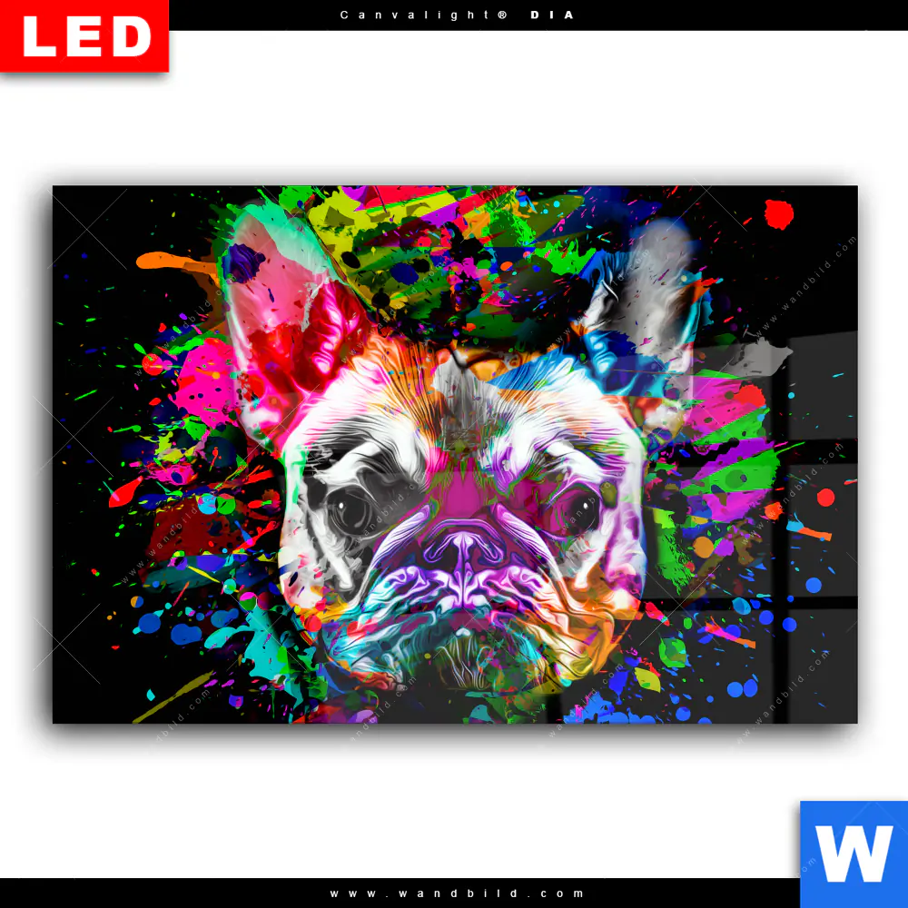 Wechselmotiv Acrylglas Canvalight® DIA | Bunte Bulldogge Schwarz | Querformat - Image 2