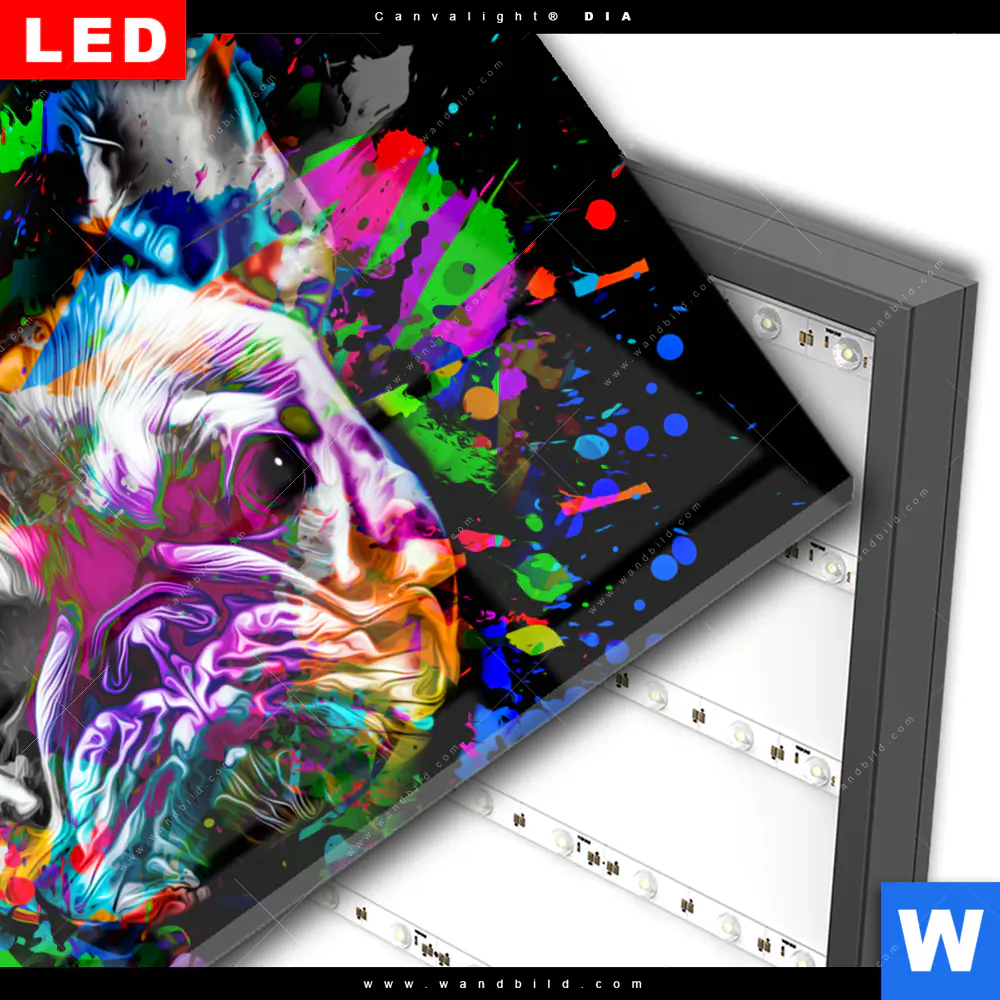 Wechselmotiv Acrylglas Canvalight® DIA | Bunte Bulldogge Schwarz | Querformat - Image 3