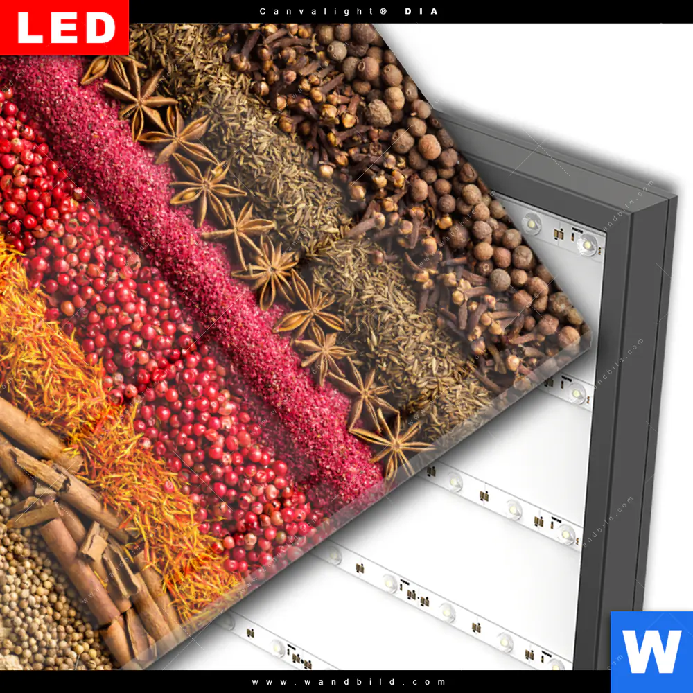 Wechselmotiv Acrylglas Canvalight® DIA | Bunte Gewürze | Quadrat - Image 3