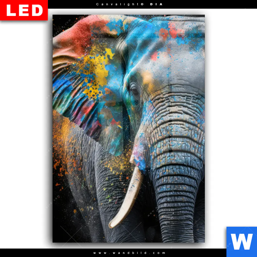 Wechselmotiv Acrylglas Canvalight® DIA | Bunter Elefant | Hochformat - Image 2