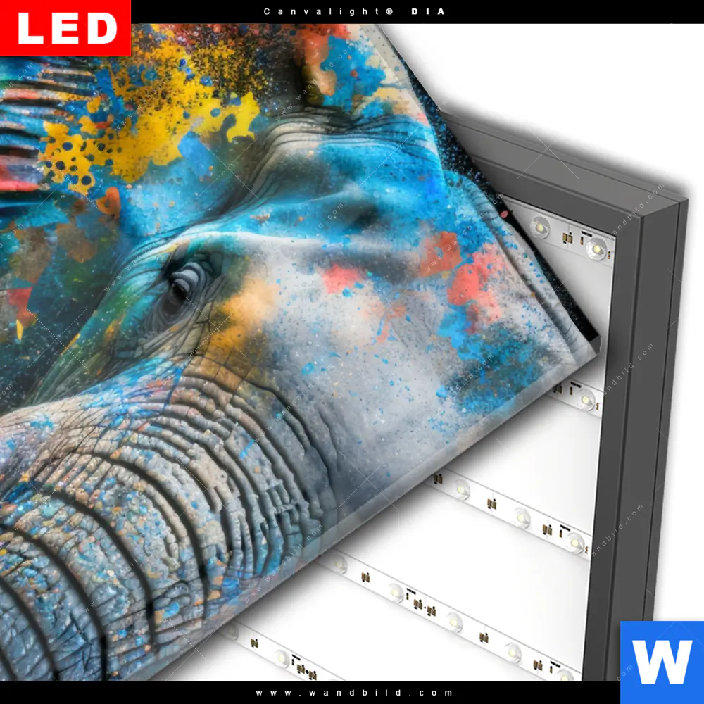 Wechselmotiv Acrylglas Canvalight® DIA | Bunter Elefant | Hochformat - Image 3