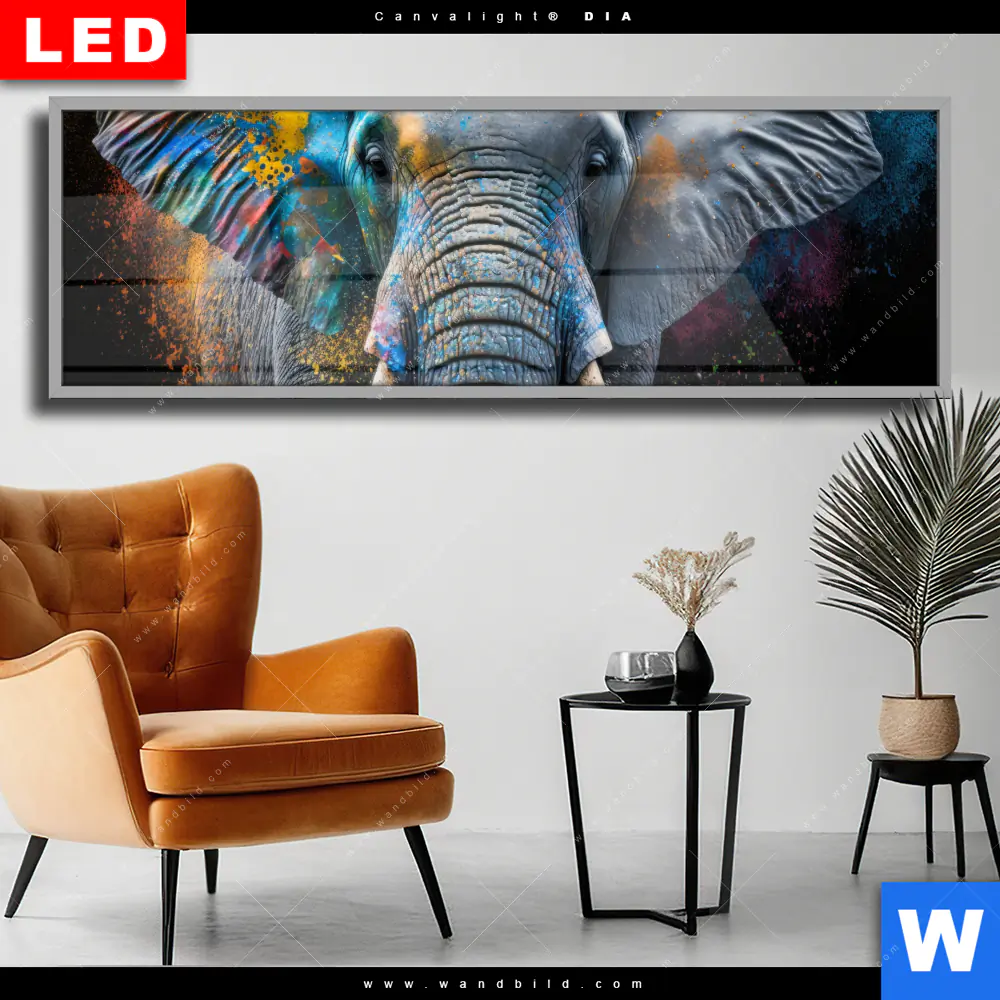 Wechselmotiv Acrylglas Canvalight® DIA | Bunter Elefant | Panorama