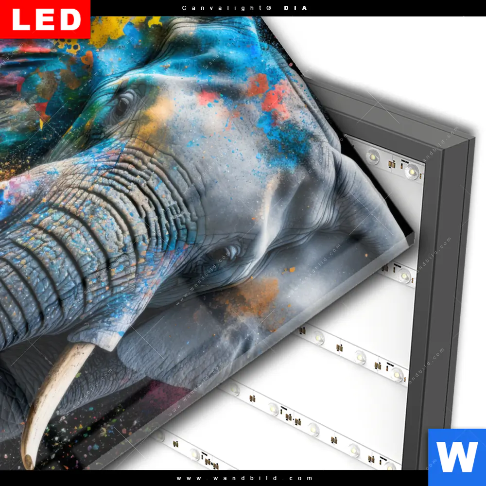 Wechselmotiv Acrylglas Canvalight® DIA | Bunter Elefant | Quadrat - Image 3